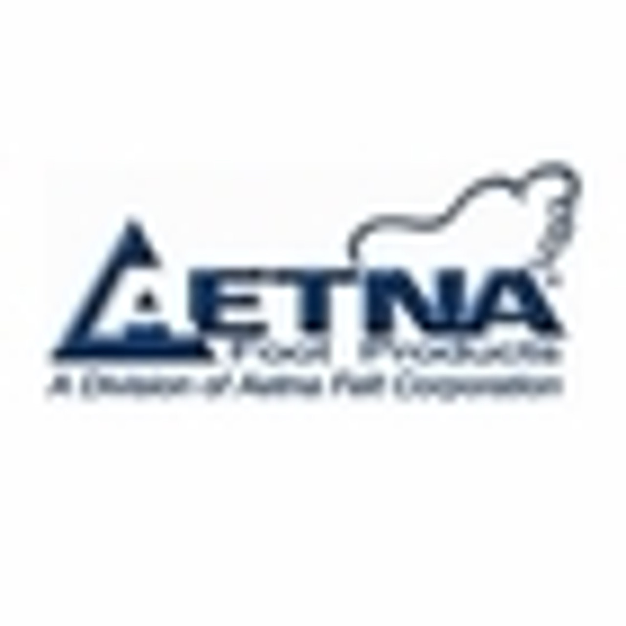 Aetna Felt Shoe Inserts